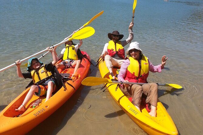 Daytime Kayak Eco Tour of New South Wales - Final Thoughts: Is This Tour Worth It?