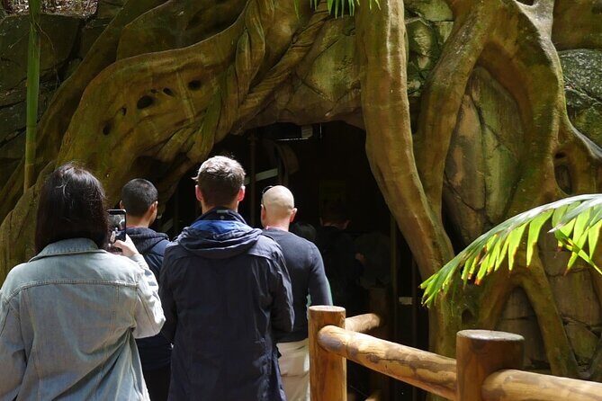 Daytime Scenic Rim Glow Worm Tour + Hop on Hop off Bus - Detailed Breakdown of the Itinerary