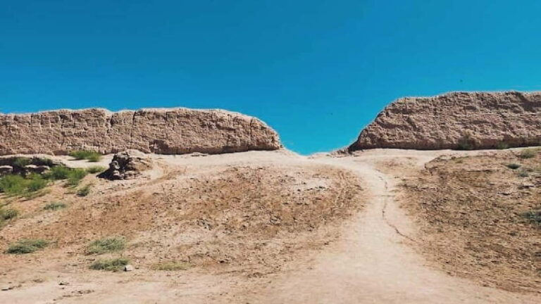 Daytrip from Khiva to Five Ancient Fortresses - What to Expect During the Tour