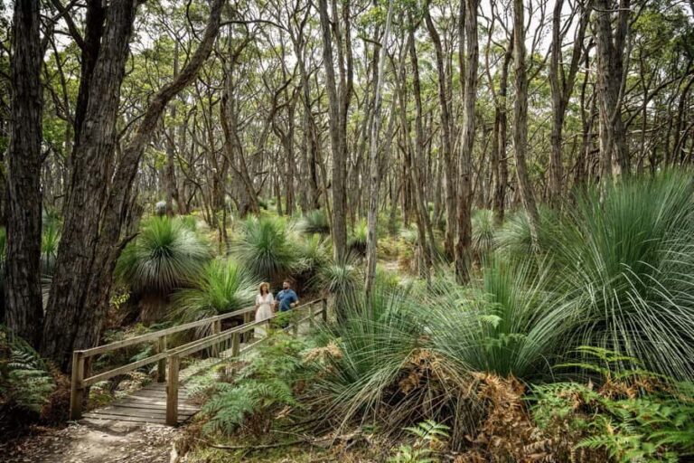 Deep Creek National Park: 4WD Adventure and Native Food Tour - Who Should Consider This Tour?