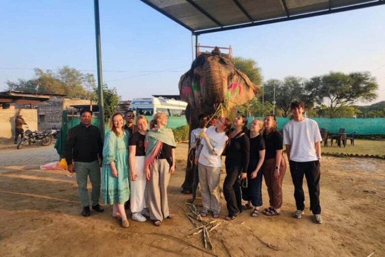 Delhi - Agra - Jaipur 3 Day Tour - What the Reviews Say