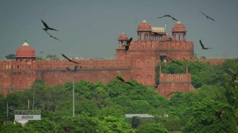 Delhi: Old Delhi Cultural Tour with Gandhi Memorial - Who Should Consider This Tour?