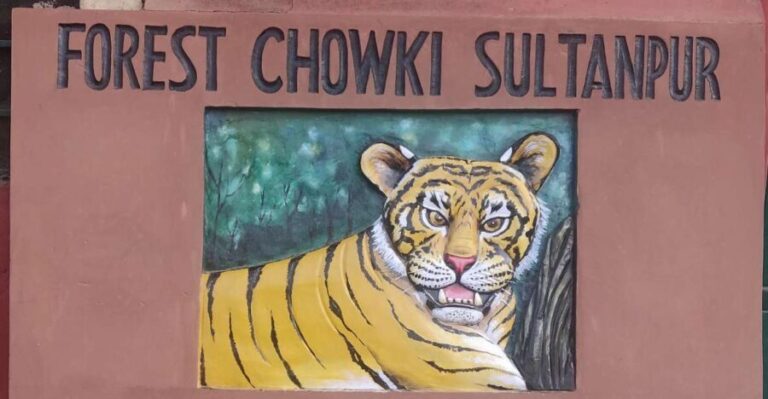 Delhi: Private 3-Days Jaipur & Ranthambore Tiger Safari Tour - Value and Practicalities