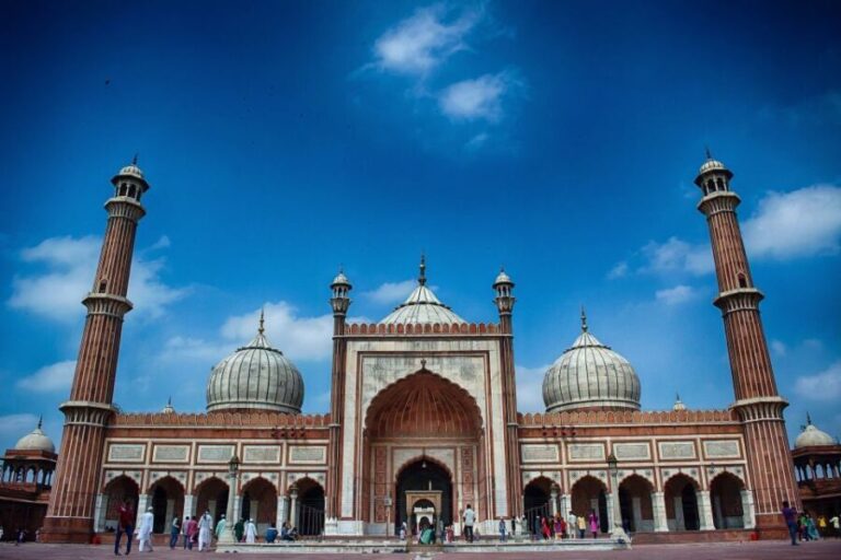 Delhi: Private Full Day Tour - Real Traveler Insights