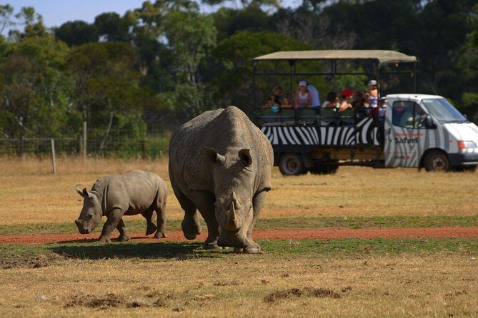 Deluxe Safari Adventure at Werribee Open Range Zoo - excl. entry - Who Should Consider This Tour?