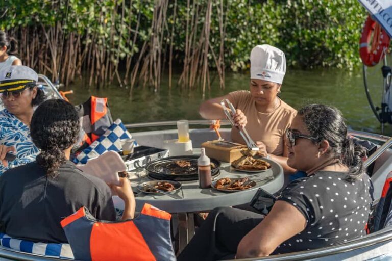 Denarau: Self Drive BBQ eBoat Cruise with Onboard BBQ Fiji - Detailed Breakdown of the Experience