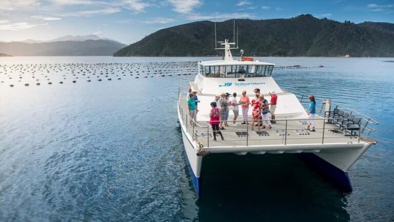 Depart Picton: Marlborough Sounds Afternoon Seafood Cruise - The Practicalities: Details That Matter