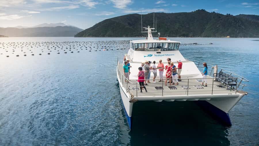 Depart Picton: Marlborough Sounds Afternoon Seafood Cruise - The Practicalities: Details That Matter