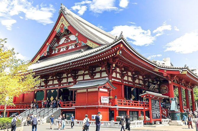 Departure Private Transfer: Tokyo to Haneda Airport HND in Van - What Makes the Vehicle Choice Matter?