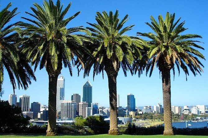 Departure Transfer: Perth to Perth Airport PER by Business Car - Why Choose This Transfer Service?