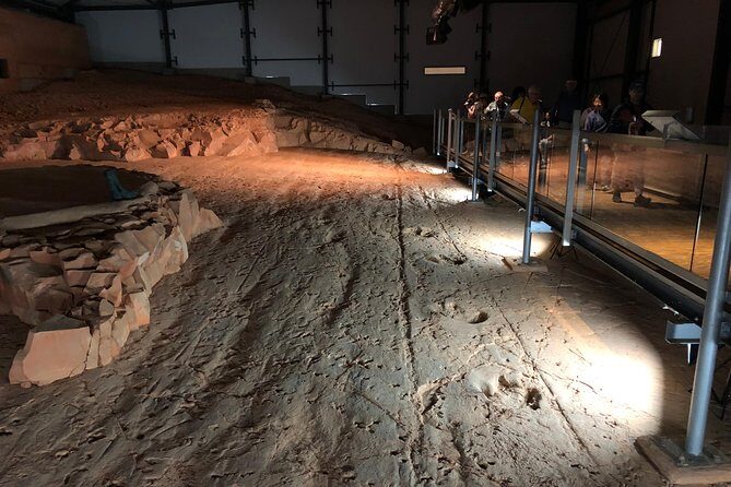 Dinosaur Stampede 3/4 Day Tour from Winton - Transportation, Duration, and Group Size