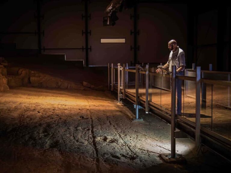Dinosaur Stampede and Carisbrooke Station Full Day Tour - What the Tour Really Offers