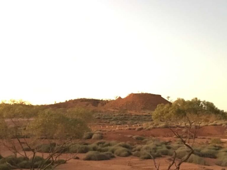 Dinosaur Stampede Half Day Tour - Dino Dash - Scenic Drive Through Winton’s Mesa Country