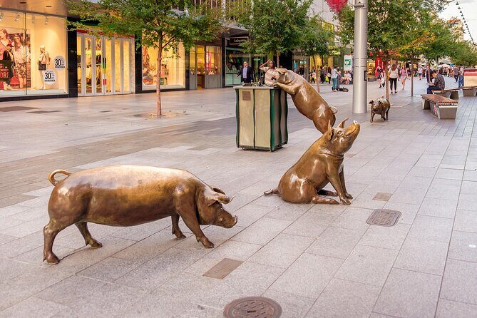 Discover Adelaide  Central - Practicalities and Considerations