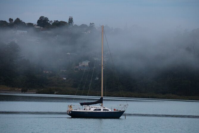 Discover Aucklands Famous Spots - Who Will Love This Tour?