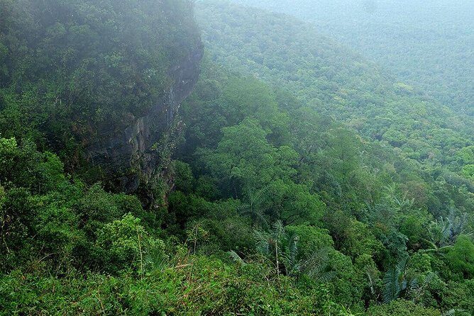 Discover Bokor National Park - Authenticity and Travelers’ Feedback