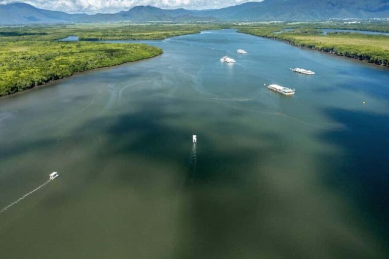 Discover Cairns: Cairns River Cruise & City Sights Tour - Practical Details and Considerations
