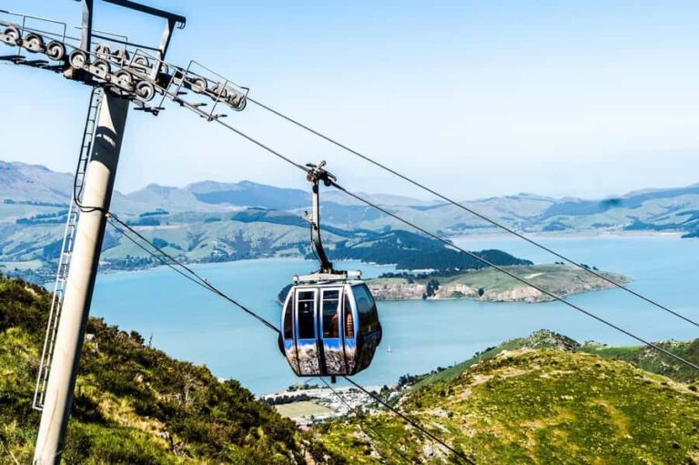 Discover Christchurch Tour with Lunch - What Makes This Tour Stand Out?