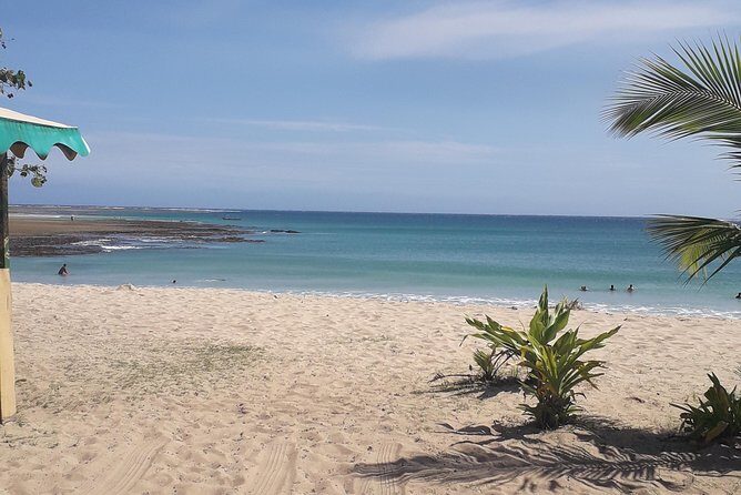 Discover Coral Coast & Natadola Beach Tour - The Itinerary in Detail