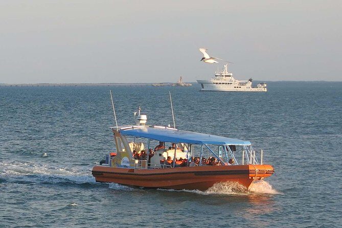 Discover Darwin Harbour 1 hour Darwin Harbour Cruise - The Sum Up