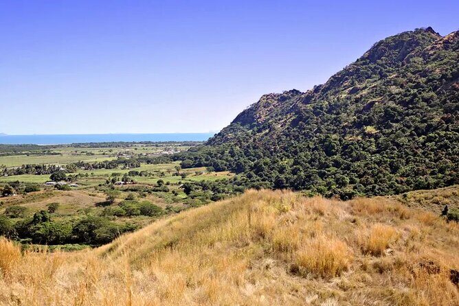Discover Fiji's Key Attractions in Nadi for a Half-Day Visit - Authentic Experiences and Genuine Value