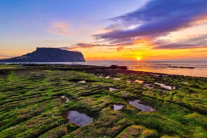 Discover Jeju in 3days: A Curated All-Inclusive Experience - Who Will Love This Tour?