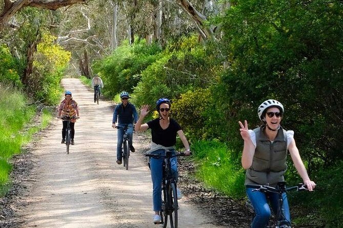 Discover McLaren Vale on eBikes - Full Day - The Sum Up
