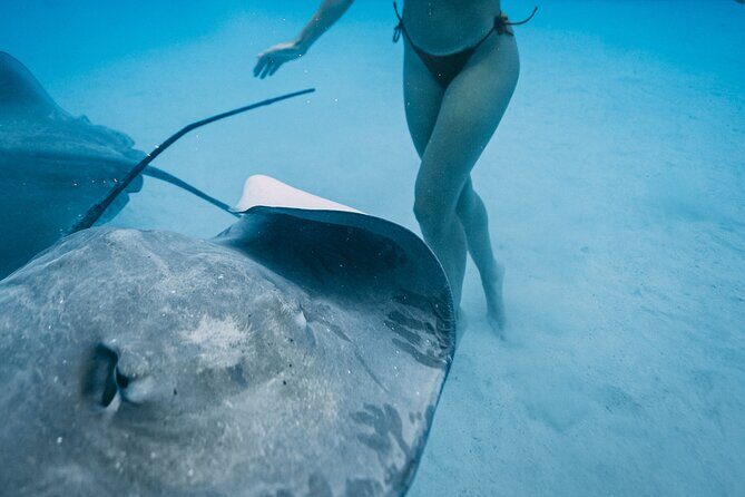 Discover the unspoilt sites of the lagoon DE Moorea - Who Will Love This Tour