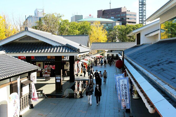 Discover the Wonders of Kumamoto Tour Ramen lunch included - Practical Tips for Joining the Tour