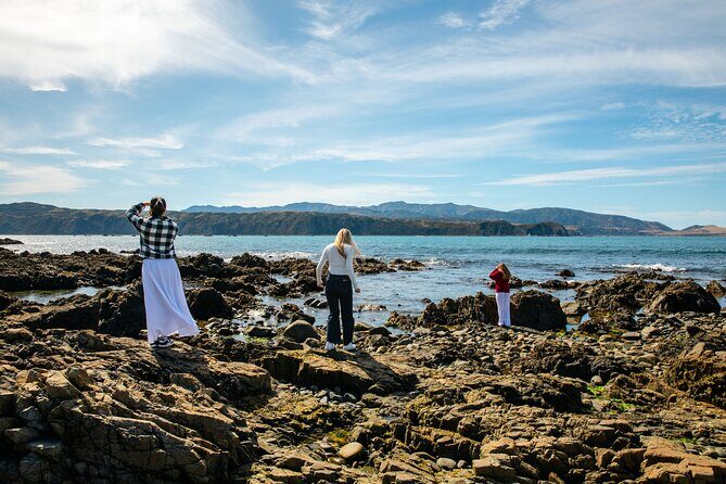 Discover Wellington 3 hour City Tour - A Thorough Breakdown of the Itinerary
