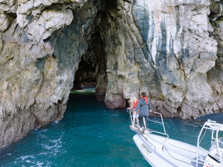Discover Whangamata - Boat Tour - Who Will Love This Tour?