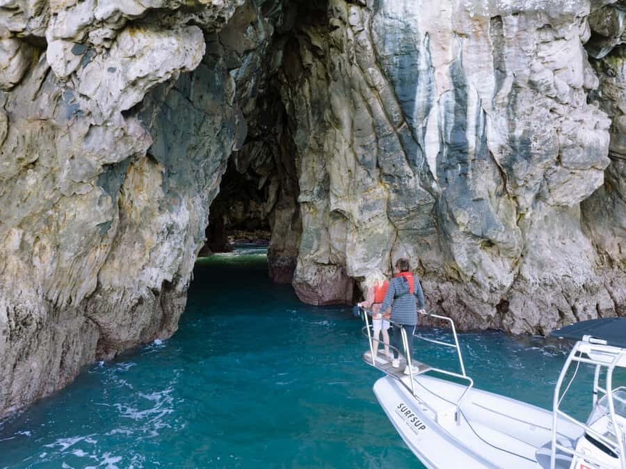 Discover Whangamata - Boat Tour - Who Will Love This Tour?