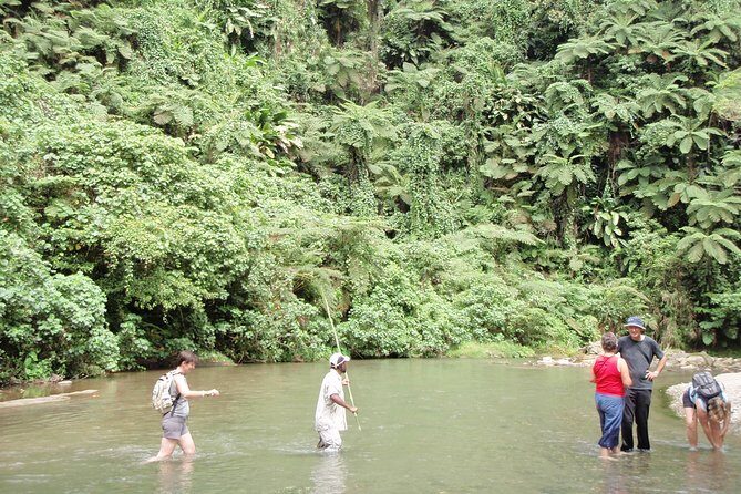 Discovery Bush Walk from Port Vila - Who Will Love This Tour?