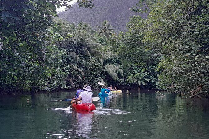 Discovery in Kayaking of the Faaroa River in Raiatea - Who Should Consider This Tour?