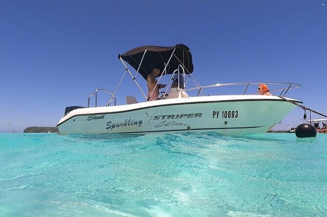 Discovery of the lagoon DE Moorea Visit and Snorkeling 5 Pax Max - Analyzing the Value