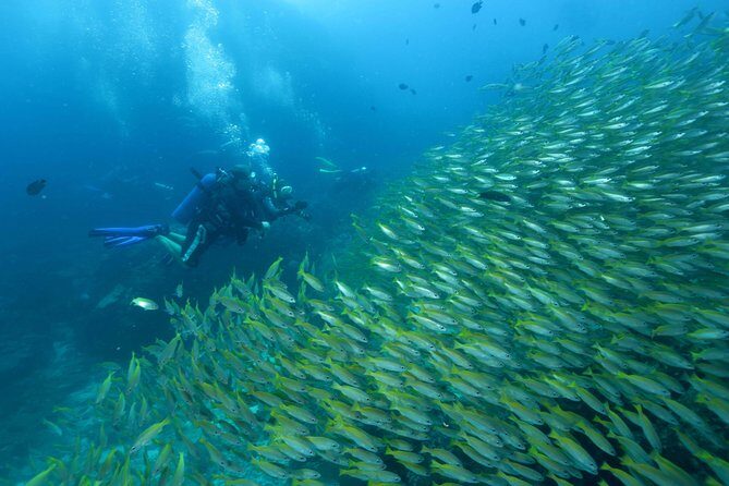 Dive Trip to Phi Phi from Phuket for certified divers - Authentic Traveler Experiences