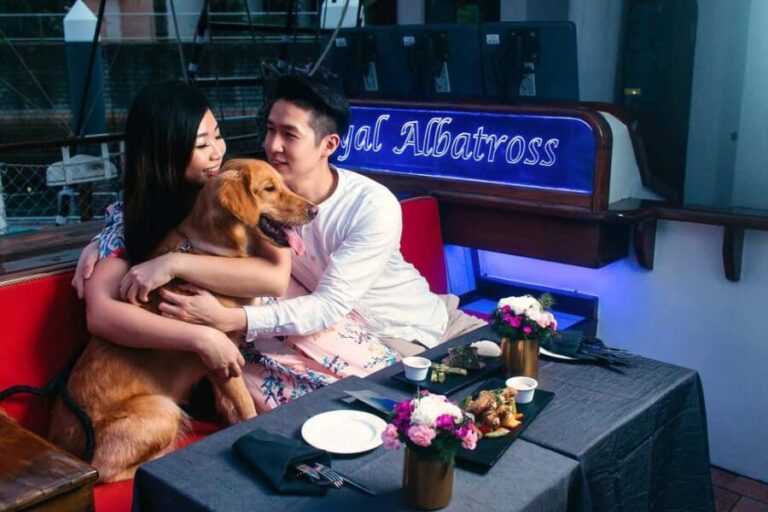Dog Cruise onboard a Tall Ship with 4 Course Meal - Why This Cruise is a Great Choice