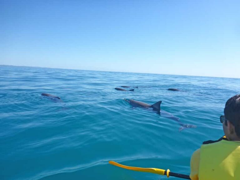 Dolphin Kayak Tour & Beach 4X4 National Park Tour (Private) - Marine Park & Water-Based Adventures
