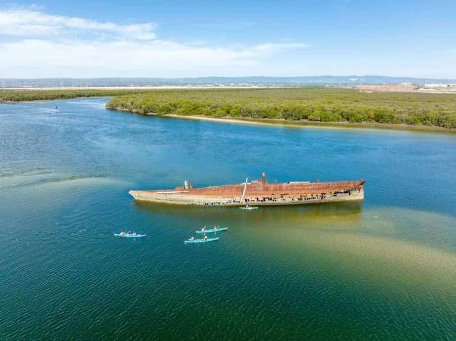 Dolphin Sanctuary and Ships Graveyard Kayak Tour - What’s It Like from Start to Finish?