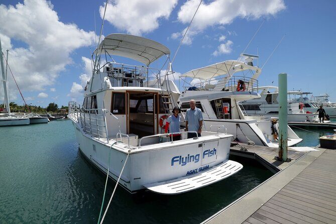 Dolphin Watching Cruise with Underwater Observatory Viewing - The Sum Up