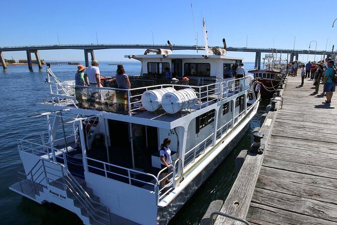 Dolphin & Whale Cruise - Why This Tour Stands Out
