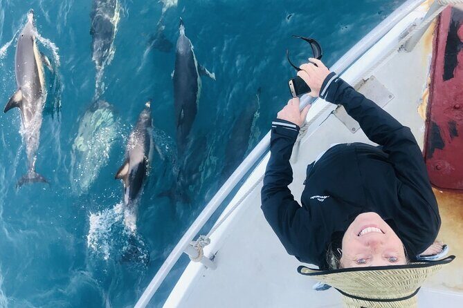 Dolphin & Wildlife Encounters - Final Thoughts: Is It Worth Your Time?