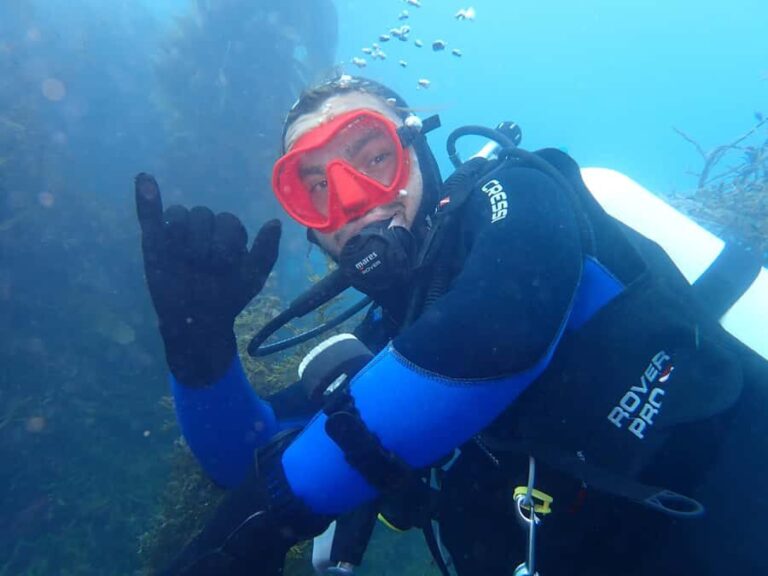 Double Boat Dive with Equipment - What You Can Expect from This Tour