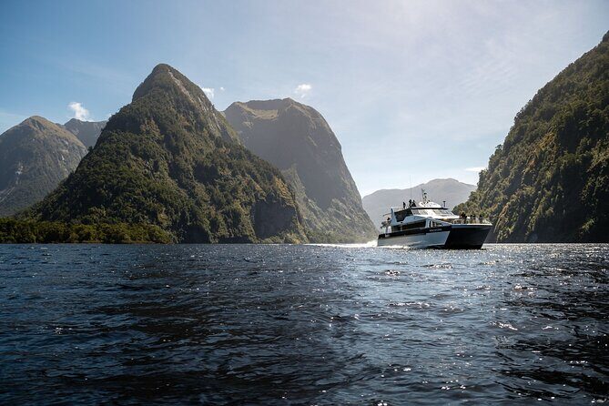 Doubtful Sound Wilderness Cruise from Queenstown - What Makes This Tour a Good Value?