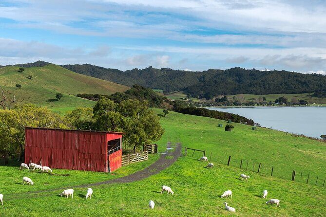 Duder Regional Park Half-Day Walking Tour - Final Thoughts: Is It Worth It?