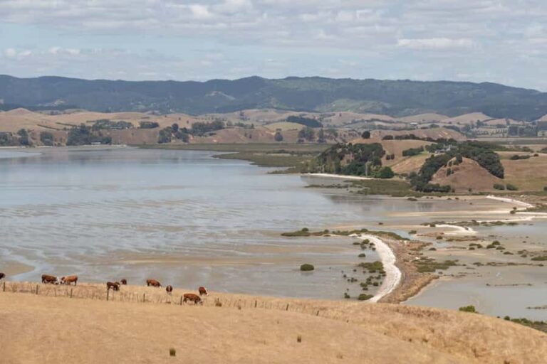 Duder Regional Park Walking Tours - The Itinerary in Detail: What to Expect
