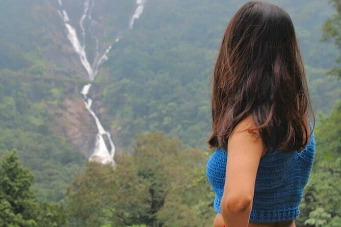 Dudhsagar Waterfalls, Jeep Safari & Spice Plantation private tour - The Detailed Breakdown of the Tour Experience
