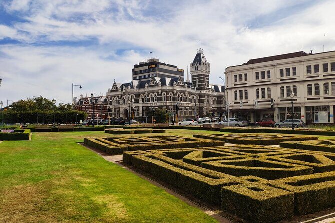 Dunedin City and Coastal Views 3-Hour Small-Group Guided Tour - What Does It All Mean for You?