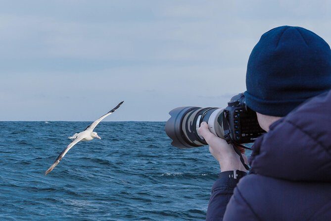 Dunedin City to Sea Wildlife Cruise + Peninsula Bus Tour - Practical Tips for Your Trip