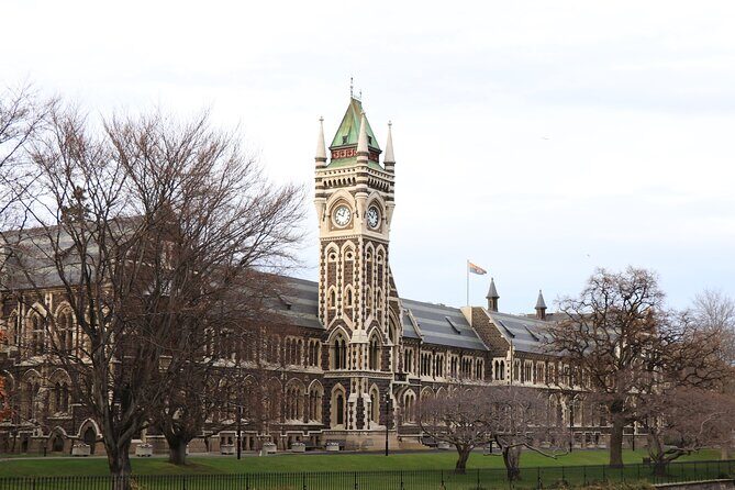 Dunedin City, Wildlife and Larnach Castle - Is This Tour Worth It?